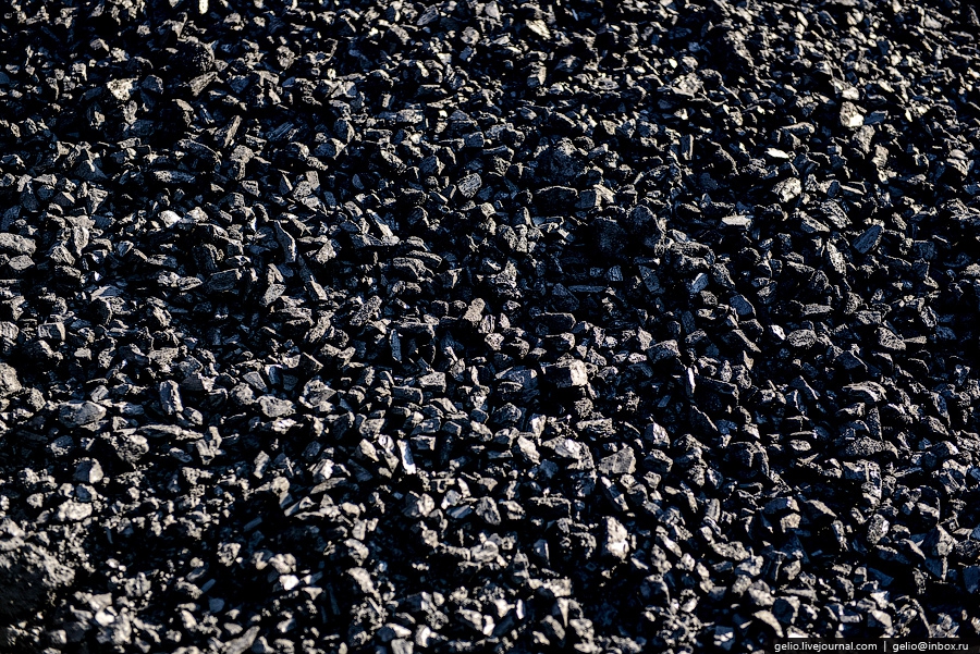 Coal